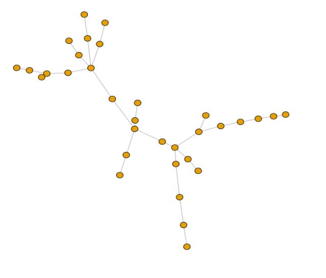 Default network